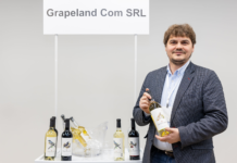 Grapeland: un brand de vin construit etapizat, de la procesare la vânzări
