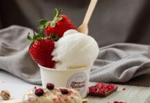 Mam’s Gelato și diversitatea gusturilor: de la sorbet de cătină la înghețată cu trufe